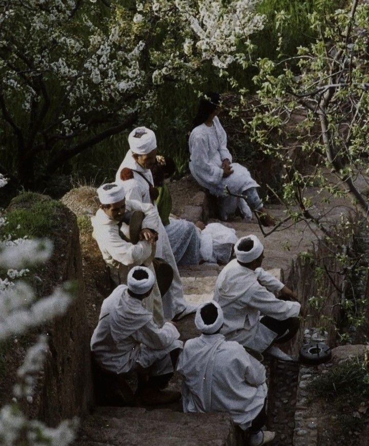 Naida | Inscendence tweet media