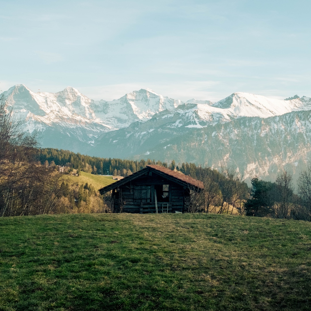sbtBeatenberg's tweet photo. Was ein wunderschönes Wetter mit dieser herrlichen Aussicht!

#sbtbeatenberg #BernerOberland #herrlicheAussicht #vchschweiz #vch https://t.co/uCvtIKOeyS