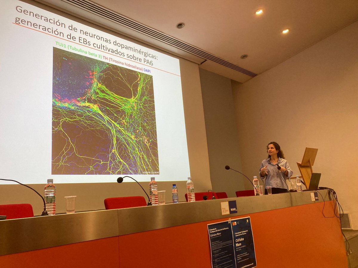 🔬Fantàstica la ponència de Irene Fernández a la II #JornadaLabIB. Ús de les cèl·lules mare de pluripotència inducida (iPSC) per a modelar la malaltia de Parkinson. <a href="/ConsiglioLab/">Antonella Consiglio</a> <a href="/idibell_cat/">IDIBELL</a>