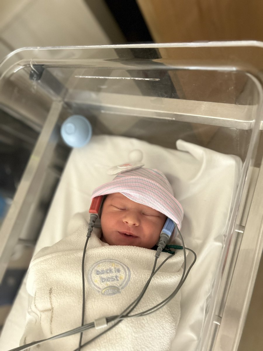 TrainerDaveATC's tweet image. Our newest Eagle (well technically Patriot) has arrived! Mia Jean App was born in 3/21/23. Mom and baby are doing very well!