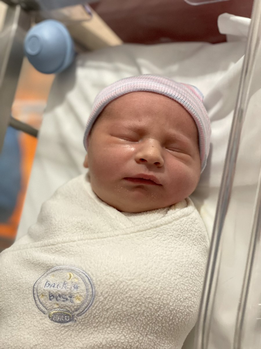 TrainerDaveATC's tweet image. Our newest Eagle (well technically Patriot) has arrived! Mia Jean App was born in 3/21/23. Mom and baby are doing very well!