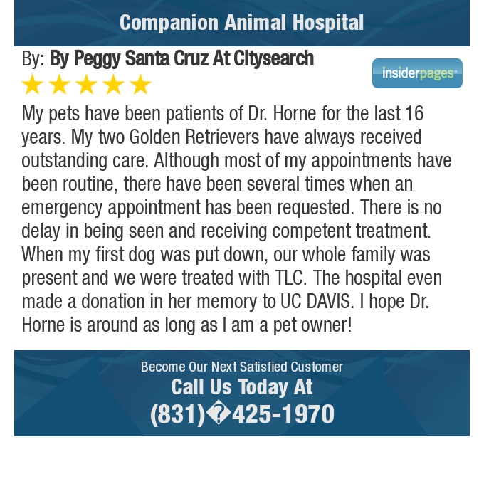 CompanionPetVet's tweet photo. 5 Star: by P. "My pets have been patients of Dr. Horne..." https://t.co/ccm1jYHuiF https://t.co/SM9K5ec5Yb