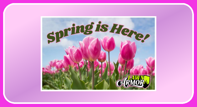 LawnArmorllc's tweet photo. Spring is officially here! If you are looking for your perfect lawn care company, look no further! There is still time to be placed on our schedule for the 2023 season. For those of you already on our list, we look forward to seeing you soon! 🌷🌷🌷
https://t.co/gkfPM8VAkq https://t.co/po1Do5tpcg