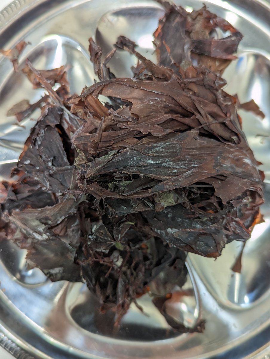 Dulse (rhymes with “pulse”) resembles a leafy, red lettuce, and grows wild on the northern Atlantic and Pacific coasts. Dulse provides a wealth of fiber and protein, it is also rich in potassium, iron, healthy fatty acids, and it is available for pick up in Boston via link in bio