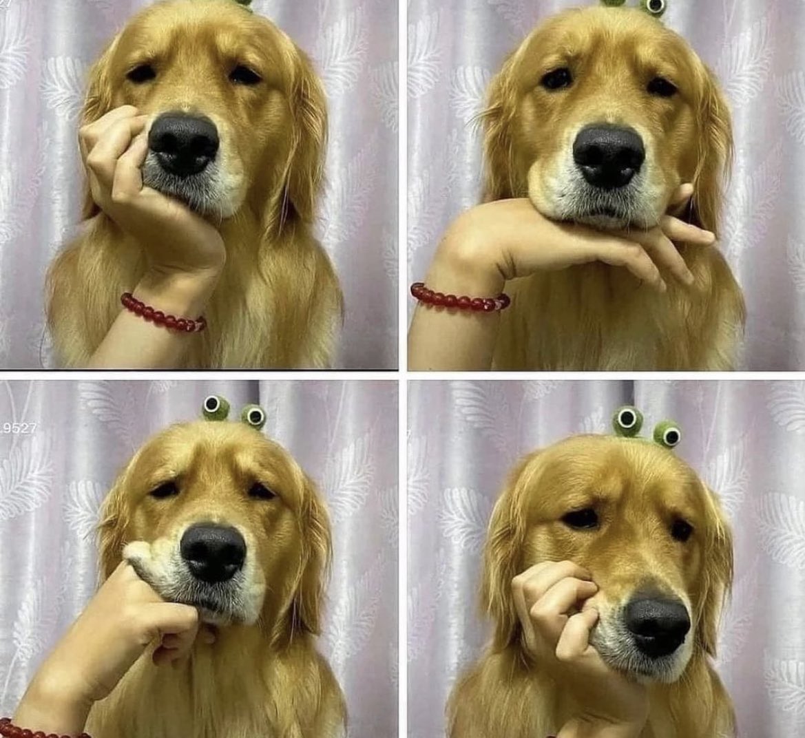 niirrrraa's tweet photo. Hand on your face pics winner https://t.co/VsfusCSXLU