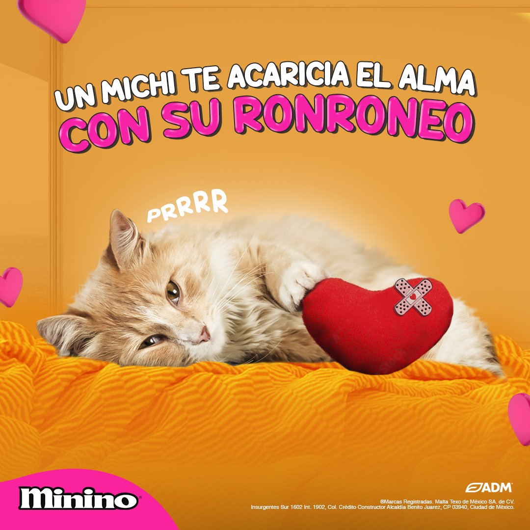 En cada Prrrrr hay un te quiero en idioma minino 😺
Da RT si crees lo mismo 🧡