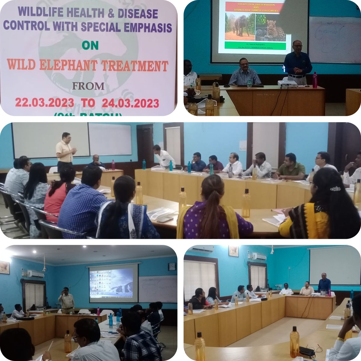 Wild life experts imparting training to veterinary officers  which will turns them into valuable key players in planning, implementing and effectively assisting both in-situ and ex-situ conservation of wild life. <a href="/rajaaswain/">Ranendra Pratap Swain</a> @farddept <a href="/dahvsodisha/">Directorate of AH&VS Odisha</a> <a href="/MoSarkar5T/">MoSarkar 5T</a> @cmo@