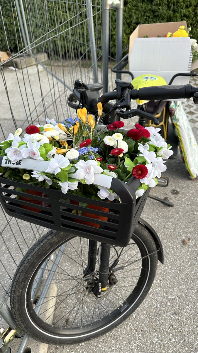 gabrielgm's tweet photo. Primavera a full! https://t.co/MKrjrSnmXz