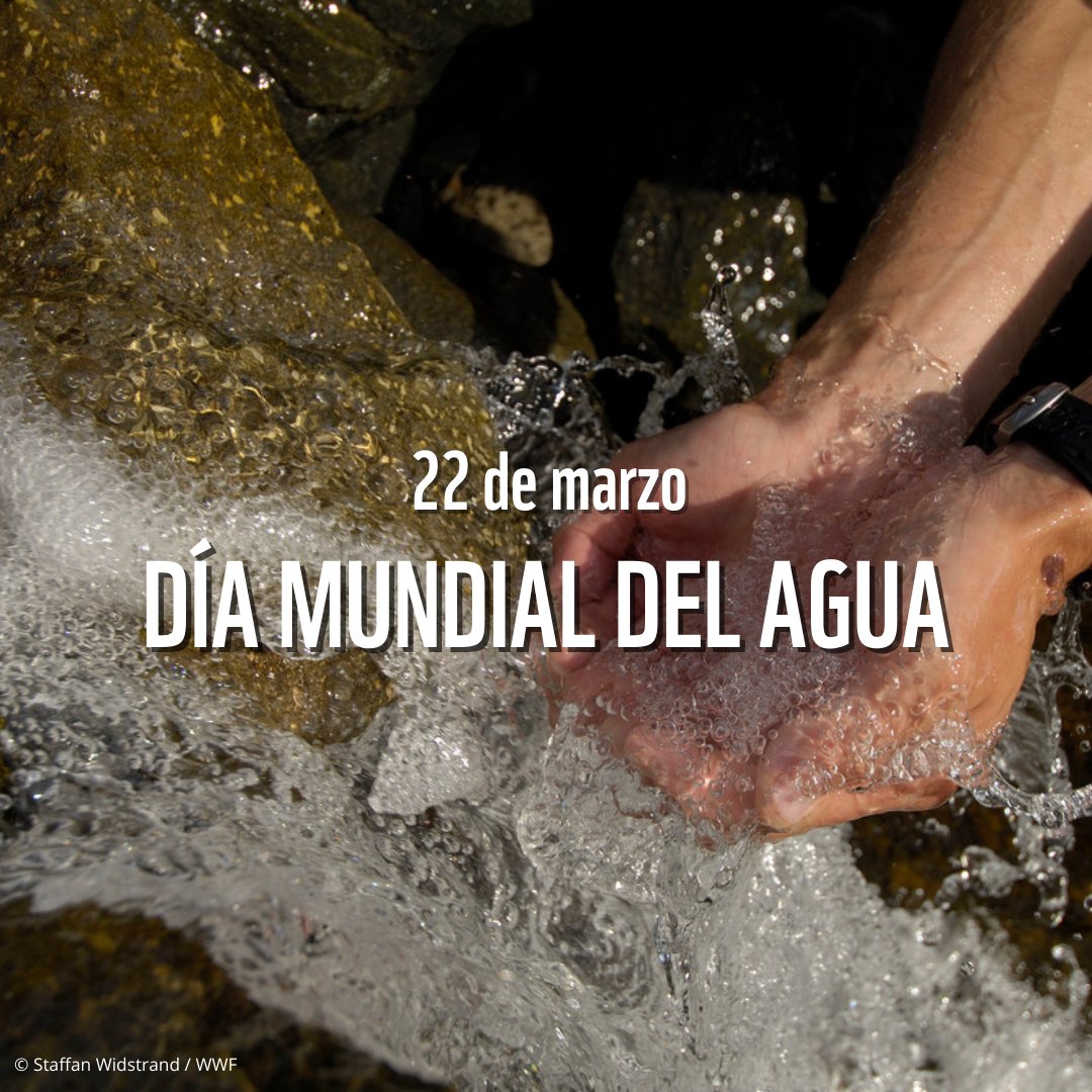¡Feliz #DiaMundialDelAgua! 💙💧

El agua es el recurso más valioso del mundo. Es esencial para casi todo: desde los alimentos que consumimos hasta el algodón que usamos o la energía de la que dependemos a diario.
