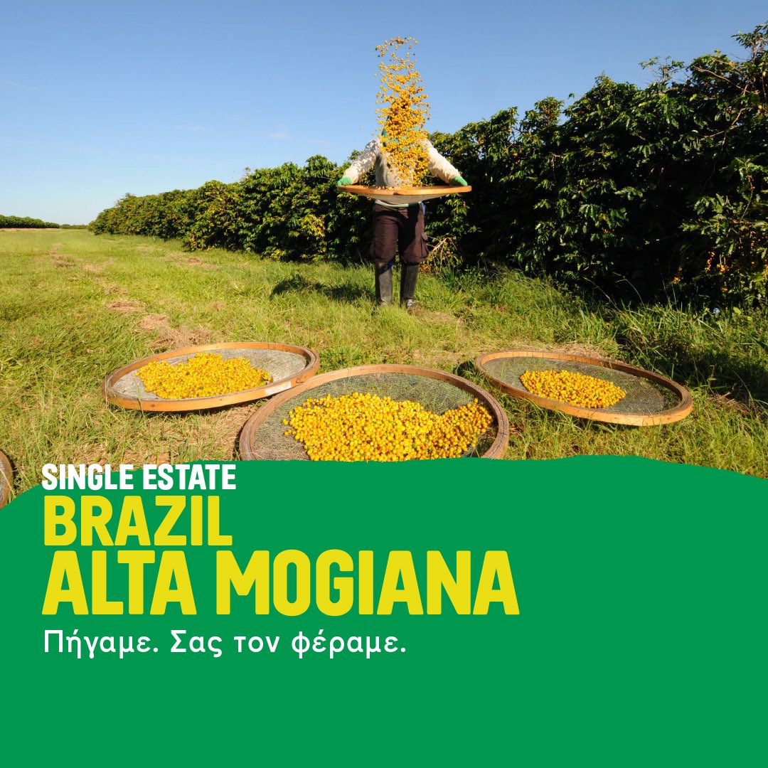 Tι θα έλεγες για ένα ταξιδάκι μέχρι τη Βραζιλία; Πώς; Με μια μόνο γουλιά! Ανακάλυψε τον Single Estate Brazil Alta Mogiana στα καταστήματα Coffee Island ή στο MyCoffeeIsland APP+WEB και ετοιμάσου να βρεθείς στις αχανείς ζούγκλες της Βραζιλίας, χωρίς extra χρέωση! 
#CoffeeIsland