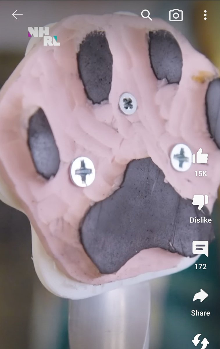 LizBeffers's tweet photo. This photo is the dress all over again. Are the toe beans set deep into the paw or sculpted out of it? https://t.co/A68WWfHIZd