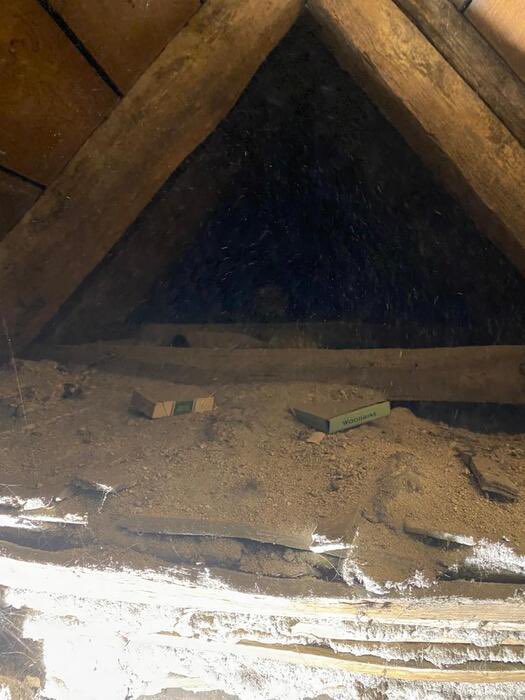 #OTD in 2022 Cricket pavilion’s attic, at least it was bone dry. What’s in your attic? <a href="/FelstedSchool/">Felsted School</a> <a href="/Felstedians/">Felstedians</a> <a href="/felstedcricket/">Felsted Boys' Cricket</a> <a href="/FelstedRugby/">Felsted Rugby</a>