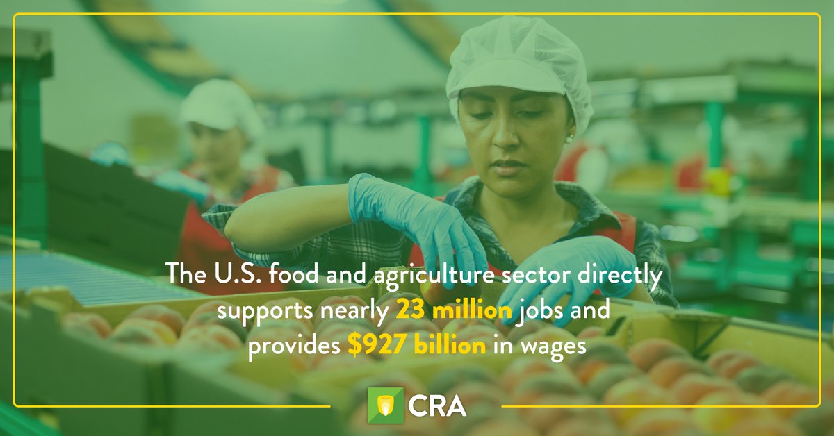 According to the 2023 #FeedingTheEconomy report, the U.S. food and agriculture sector directly supports nearly 23 million jobs, provides $927 billion in wages and is particularly vital to rural communities across America. Read the full report ➡️ feedingtheeconomy.com