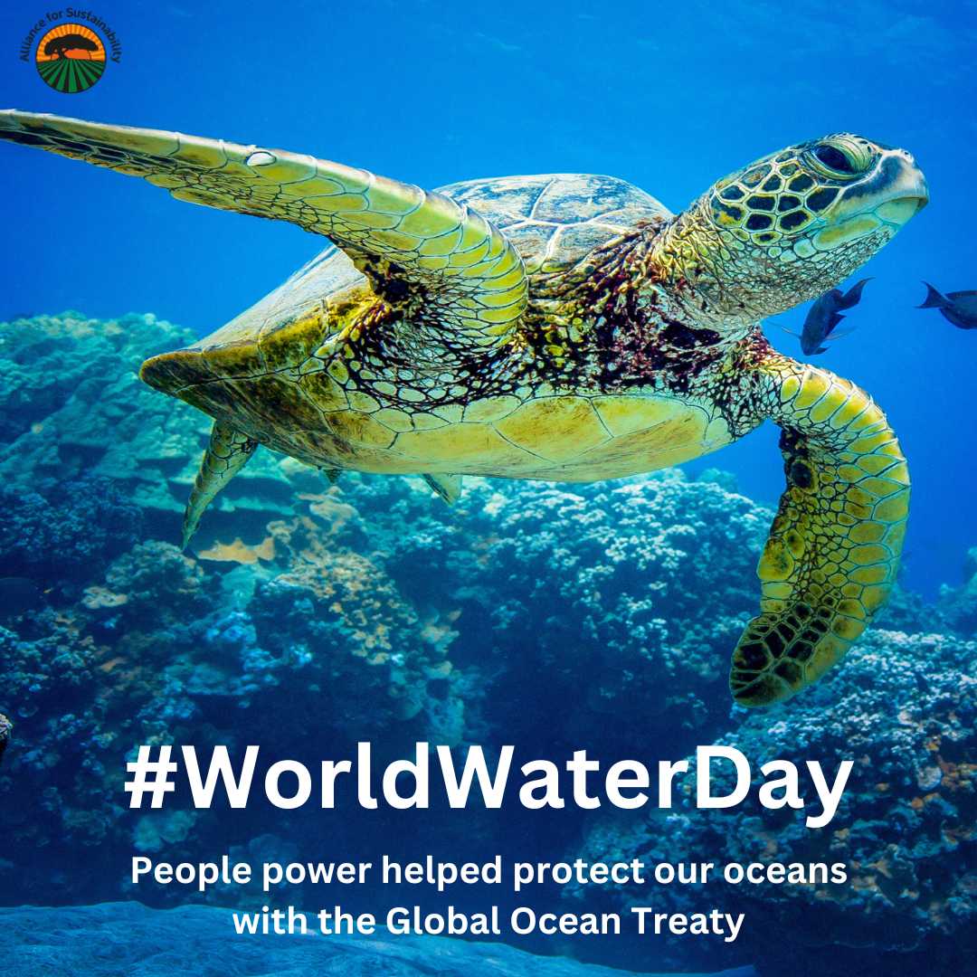 AforSMN's tweet photo. How people power helped protect our oceans with the Global Ocean Treaty @Greenpeace
https://t.co/lfamusa1Z5

#inspiration #afors #allianceforsustainability #WorldWaterDay #WorldWaterDay2023 #GlobalOceanTreaty #protecttheocean  #onceanconservation #SaveOurOceans #30x30 https://t.co/2i8eoKle19