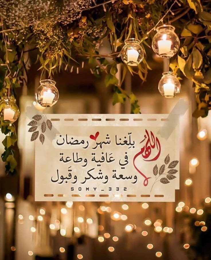 ابوبكر مترجم (@coolabuu271) on Twitter photo 