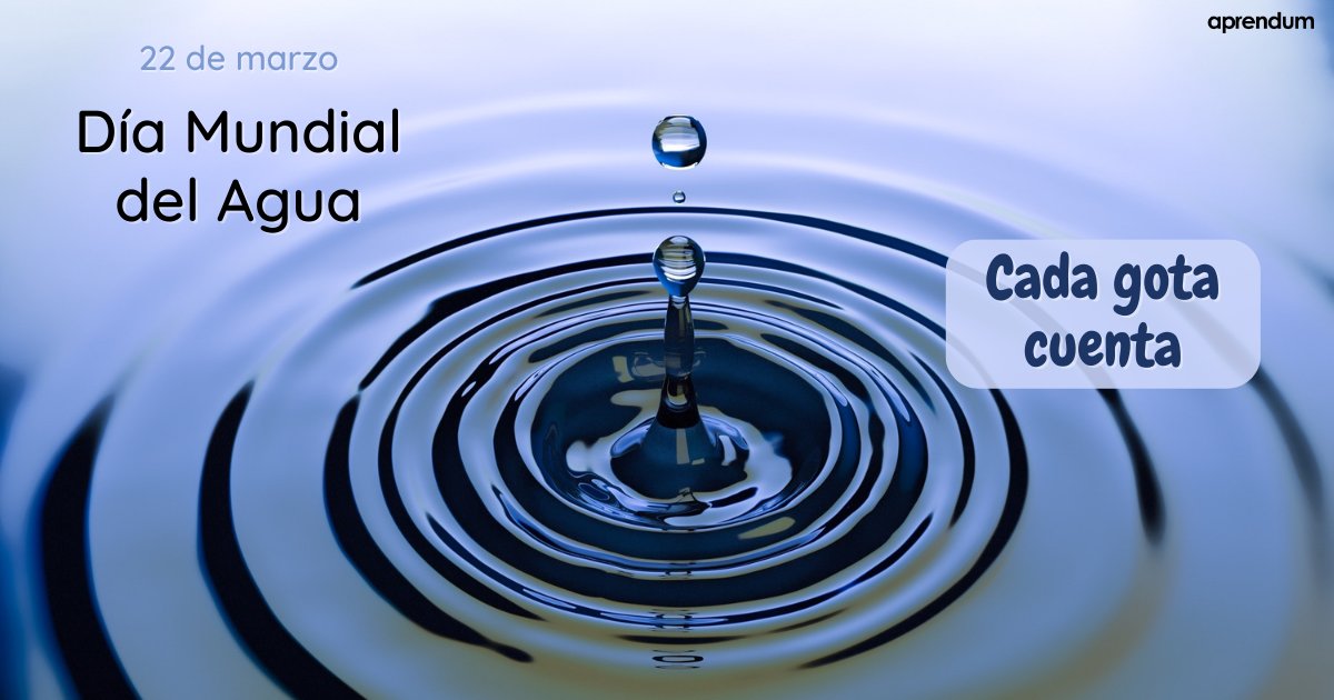 Aprendum tweet media