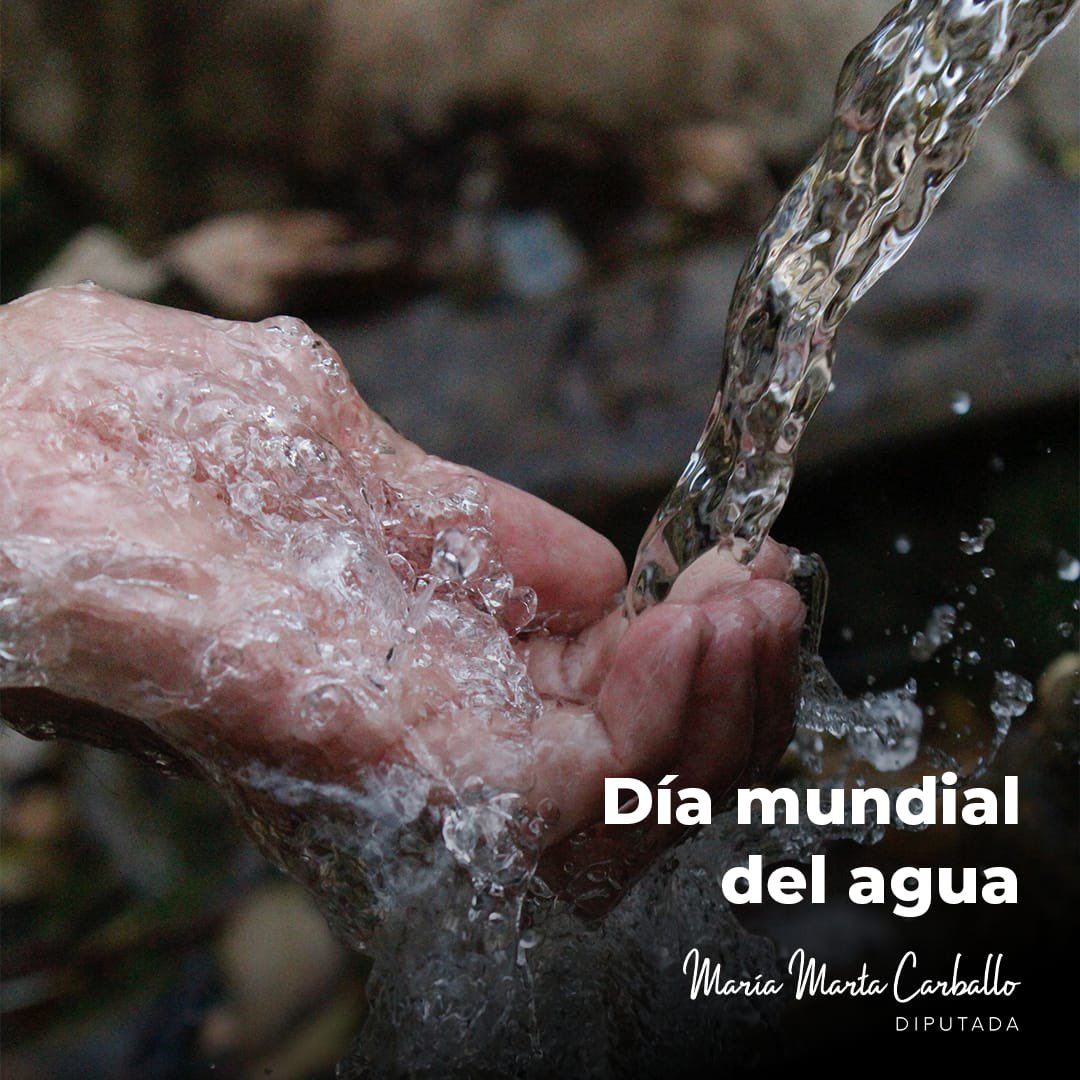 María Marta Carballo (@mmcarballo) on Twitter photo 