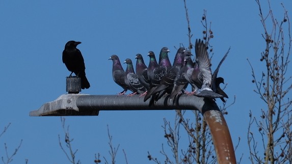 Duncan Mackenzie tweet media