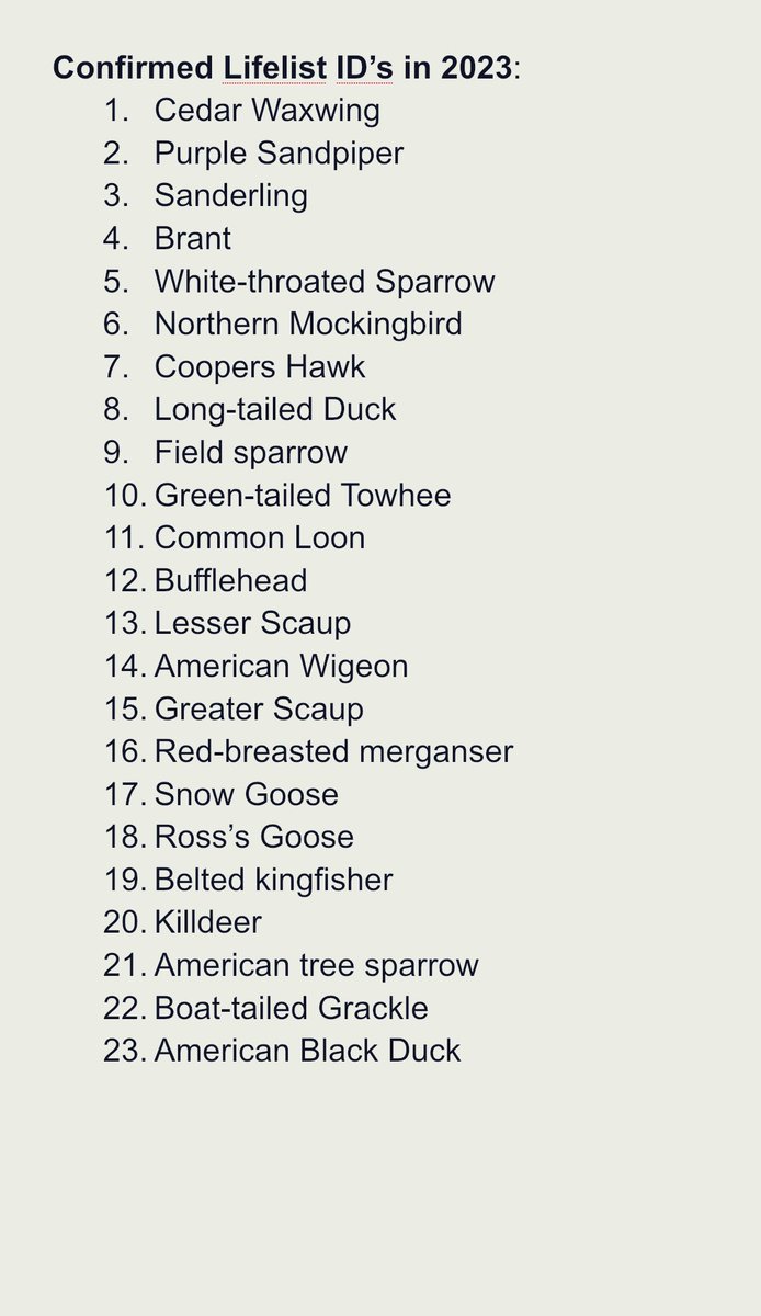 AdamTulin's tweet photo. Keeping me eyes more open in 2023. Big moves on the life list only 3 months in! #BirdsOfTwitter #lifelist #birding #birdsofconnecticut https://t.co/SgfgALXO75