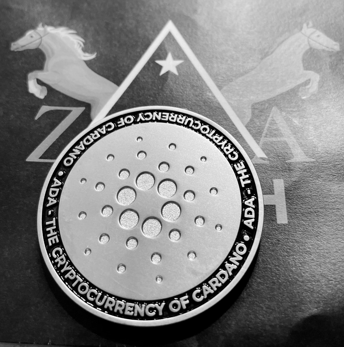Miller_19k's tweet photo. I hope everyone is still holding their Cardano Summit 2021, Spirit of the Valley and Zea Merch Basho NFTs 👀
#Reflekt
#UtilityNet
#Web3Gaming https://t.co/InPvtFj4hJ