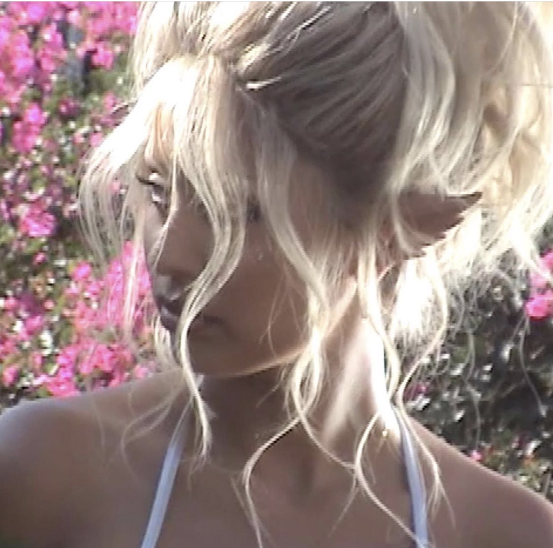 alexafiles's tweet photo. Alexa Demie by Petra Collins https://t.co/AqhHyoIWjG