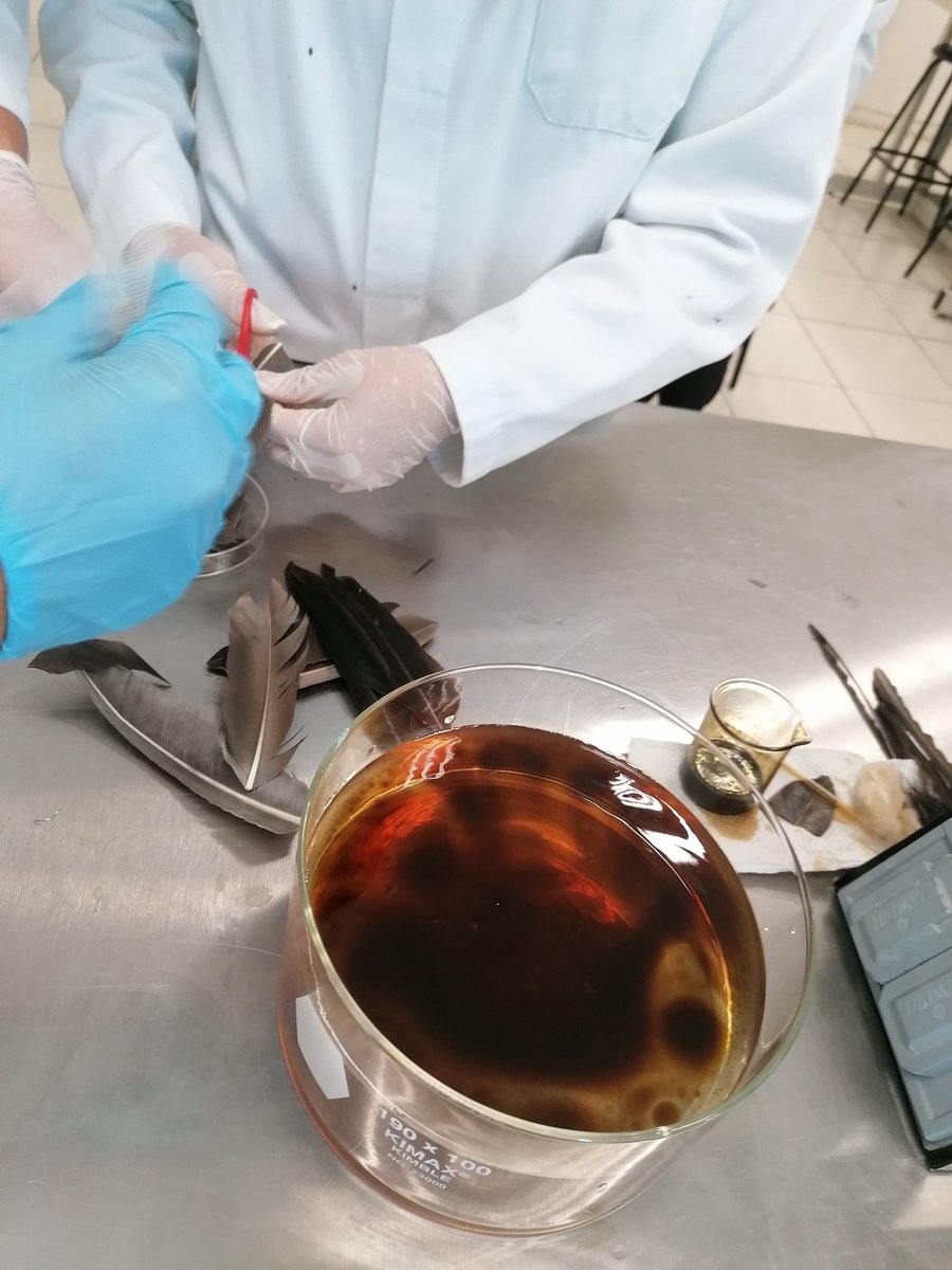 SaraiAlejandro5's tweet photo. En LQA-@DAMJM_OFICIAL, se trabaja en pro de la conservación del agua 🌎💧.En este #DiaMundialDelAgua Recordamos nuestras experiencias con los alumnos de IPQ. Floculación de aguas residuales. Adsorción de medicamentos y colorantes en aguas. Limpieza de crudo en agua https://t.co/hbfZ8dmocp