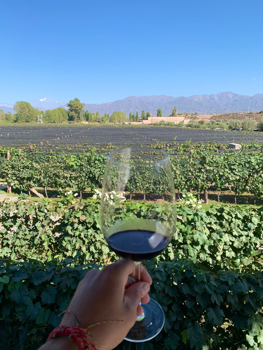 ATENCIÓN ✋🏽 este hilo es para guardar 💥 
Recorrido por una de las provincias MÁS COMPLETAS de Argentina. 
Bienvenidos/as a MENDOZA 🍇☀️