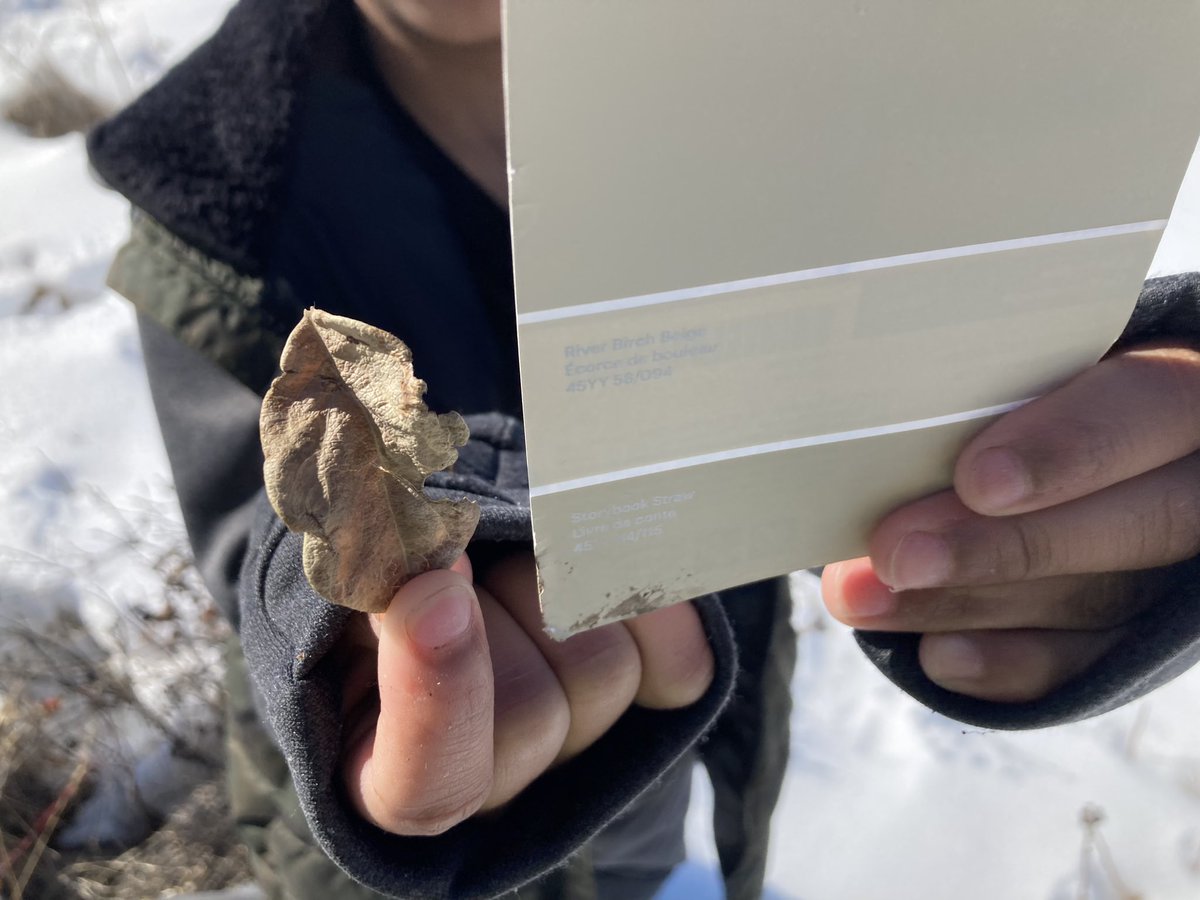 Lisa Bain tweet media