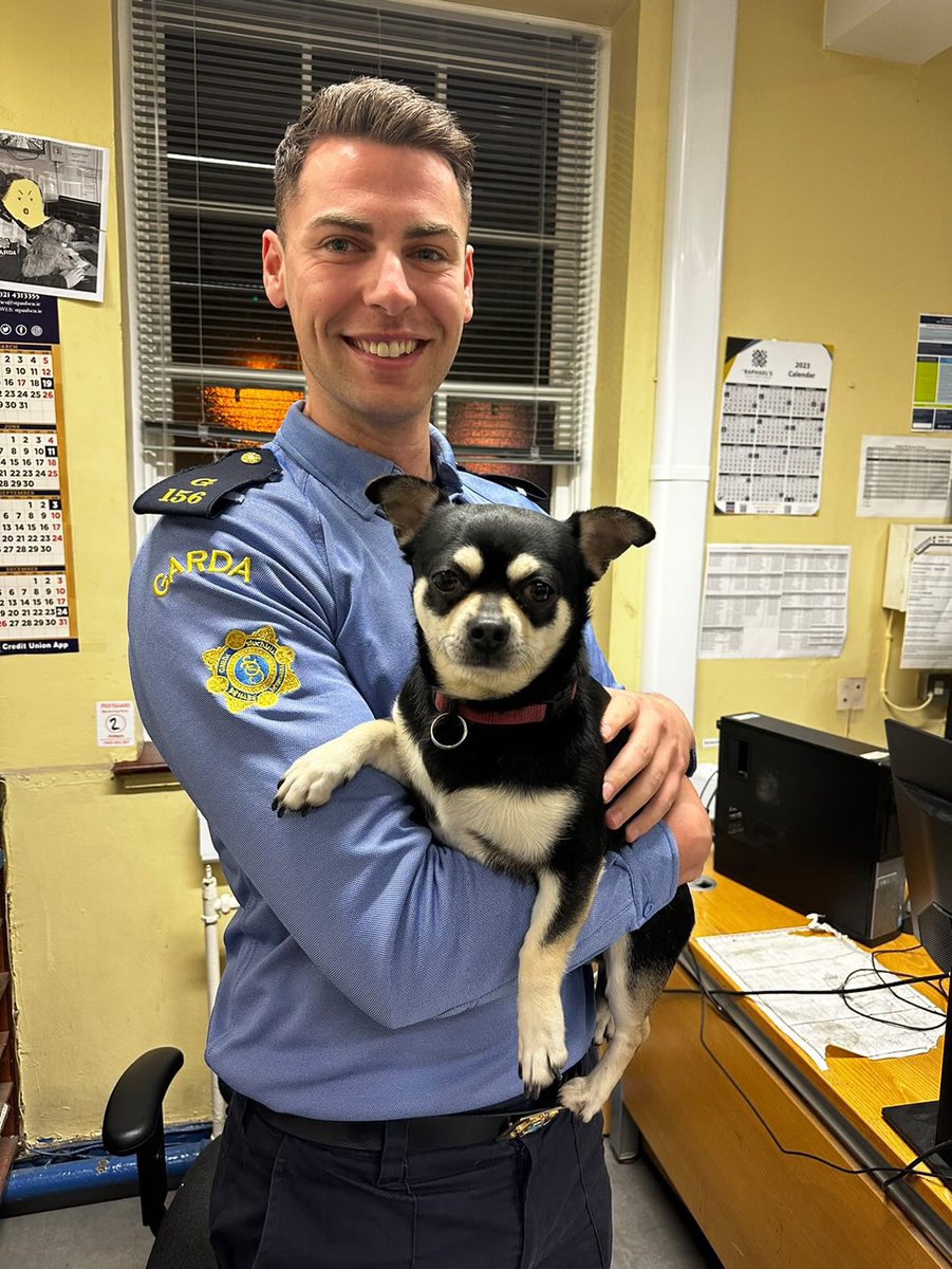 gardainfo's tweet photo. Look who just turned up again, but this time at Sundrive Road, Dublin 12. 

He might be fond of gallivanting, but we reckon he’s fond of us!

Can we guess a name?! Our guess is Baby Guinness. 

#HereToHelp https://t.co/U7DF9ta8i5