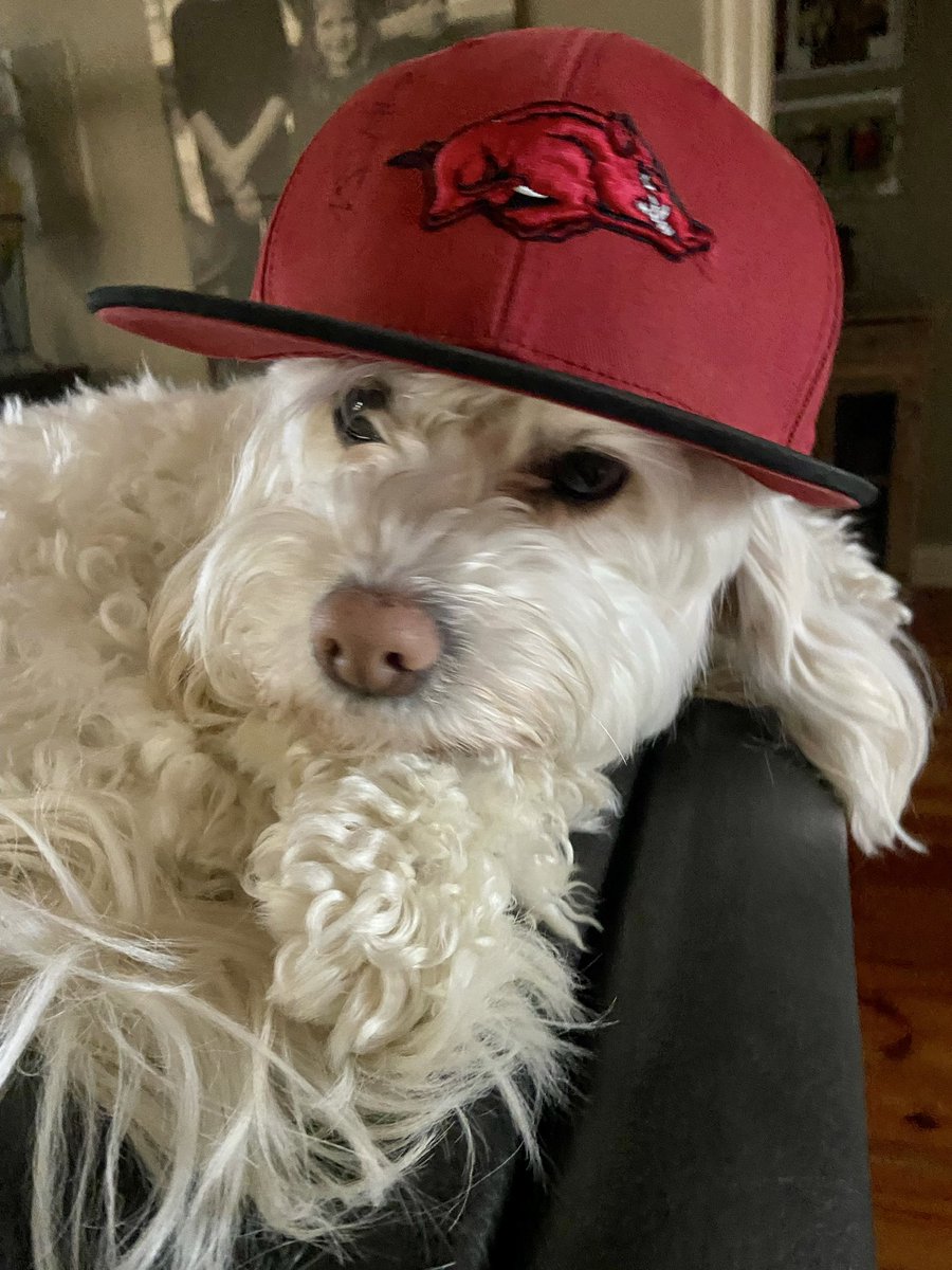 AllisonCBailey's tweet photo. @swishmusselman Ready for Vegas! Go Hogs! WPS! https://t.co/yVsDma5NsU