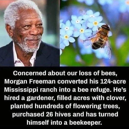 JamesTate121's tweet photo. Always liked Morgan Freeman, but he is officially now my favorite actor 🙂🐝 https://t.co/oegQ6vv7zs