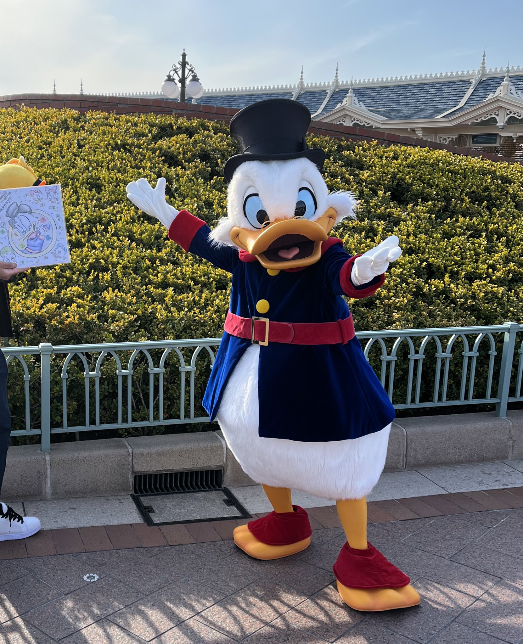 スクルージ・マックダック 楽天市場】【取寄せ】 ディズニー US公式商品 スクルージ