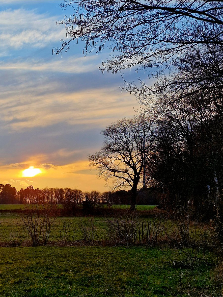 OdenbachWitt's tweet image. Good night everyone. 🌛