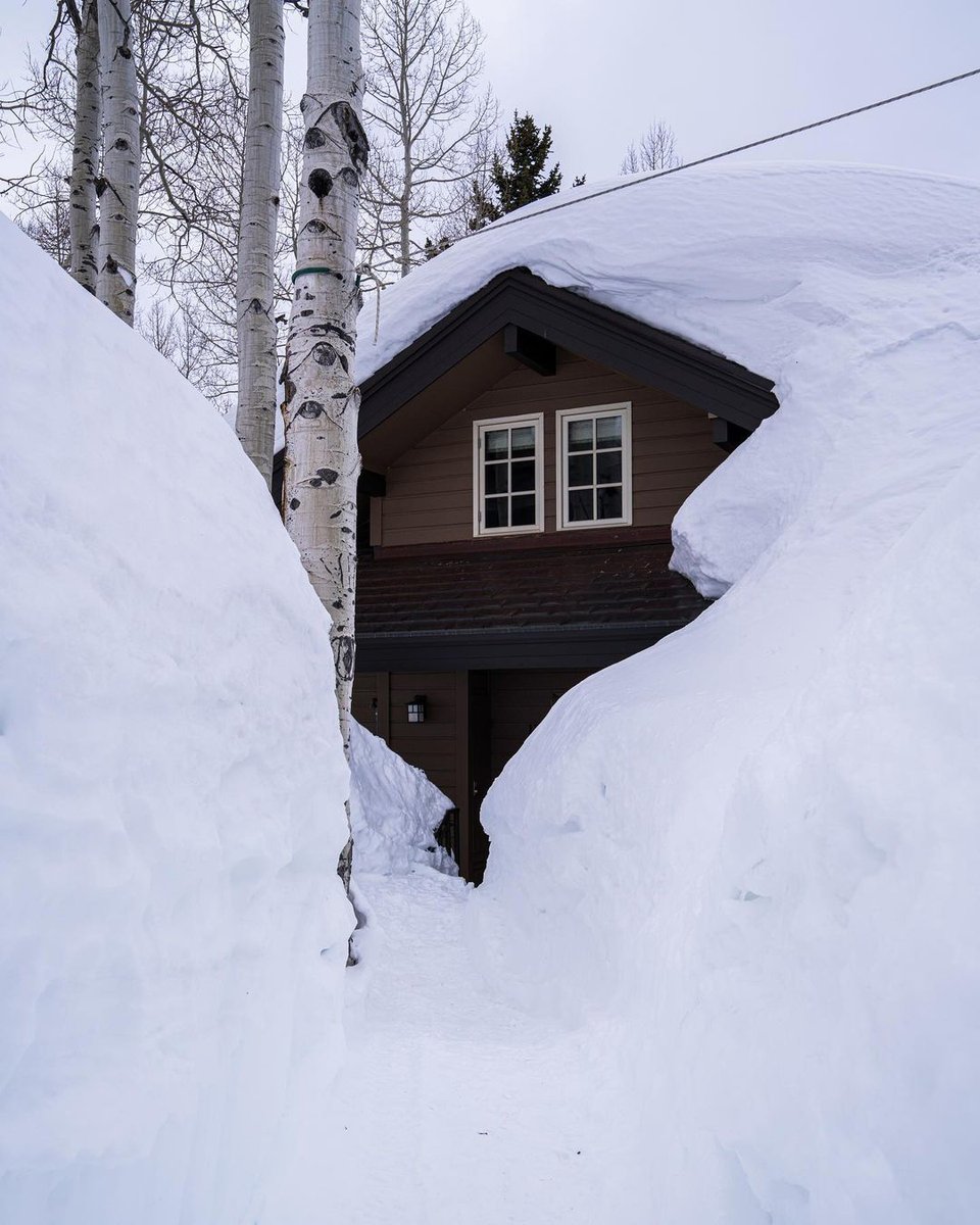 powderhounds1's tweet photo. Congratulations to Alta Ski Area in Utah for surpassing the 700" snowfall mark - now 711 inches (18 metres) of snowfall so far this season &amp; more snow coming Thursday &amp; Friday. #altautah #altaskiarea PC:@georgie_maud #lotsofsnow #buriedhouse #deepsnow https://t.co/xCES2wpiDt