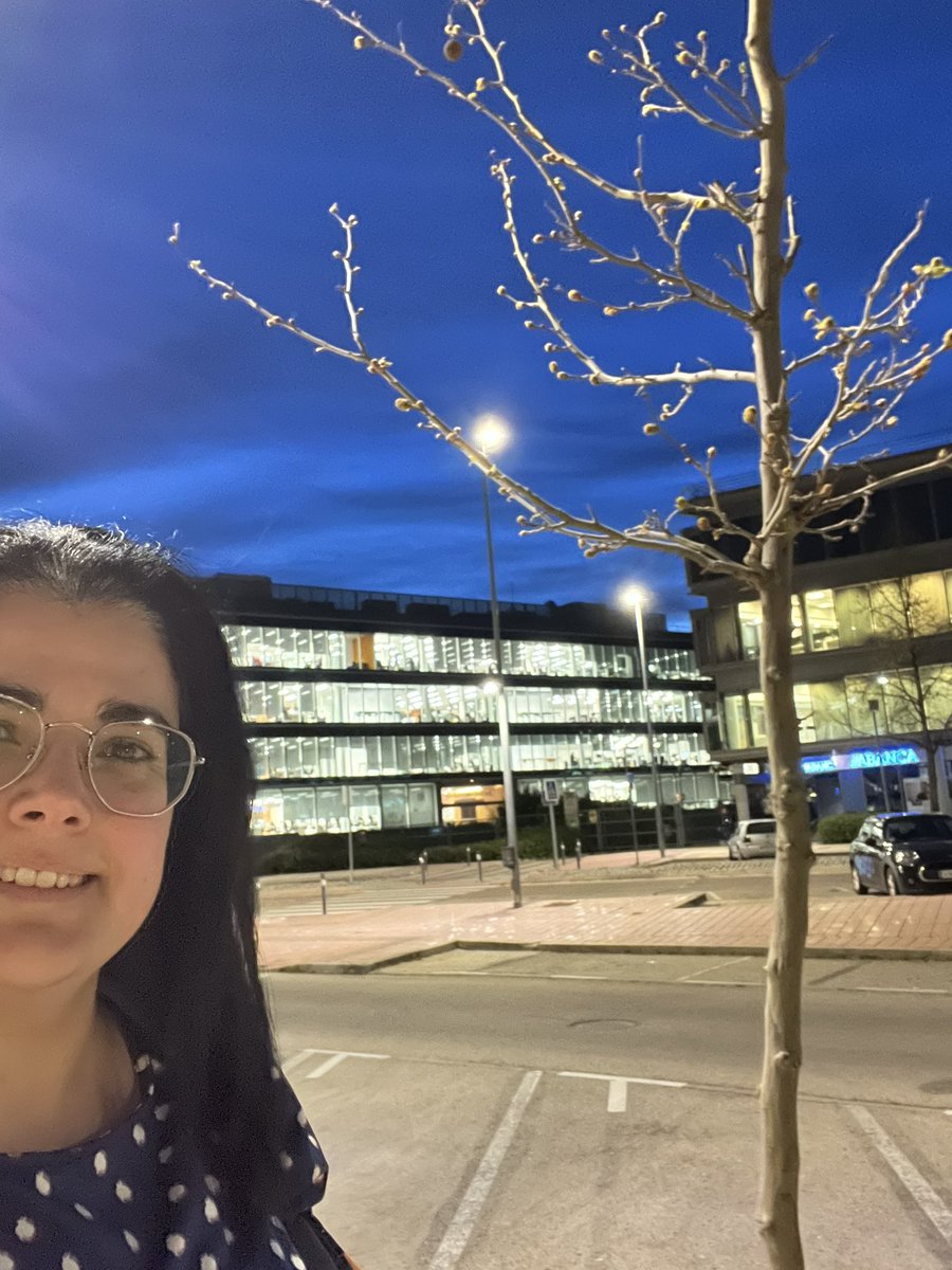 Iruri Knörr 💻🎙🎲 tweet media