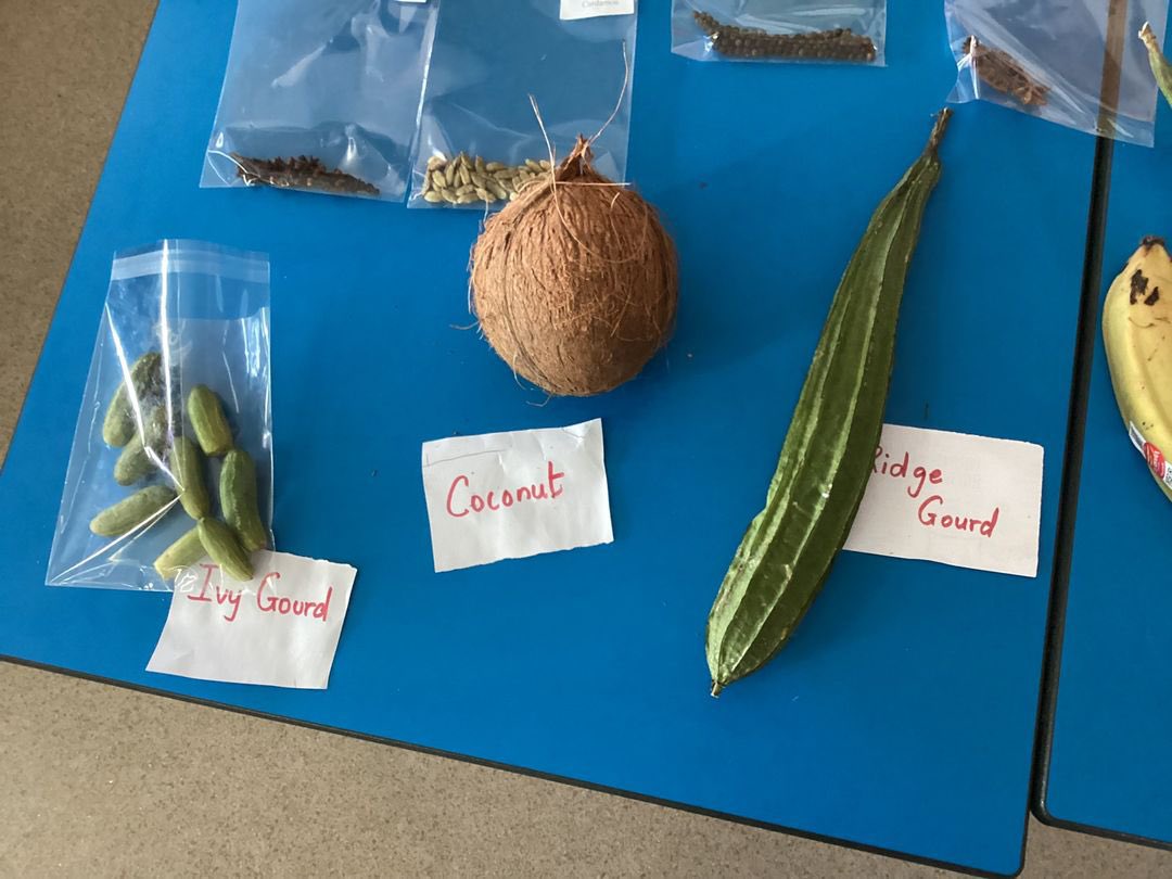 FernieleaSchool's tweet photo. P5 were learning about India today when N’s mum came in to share information about food, language, traditions, money and so much more. #culture #diversity #community https://t.co/5YrWdOzgv0
