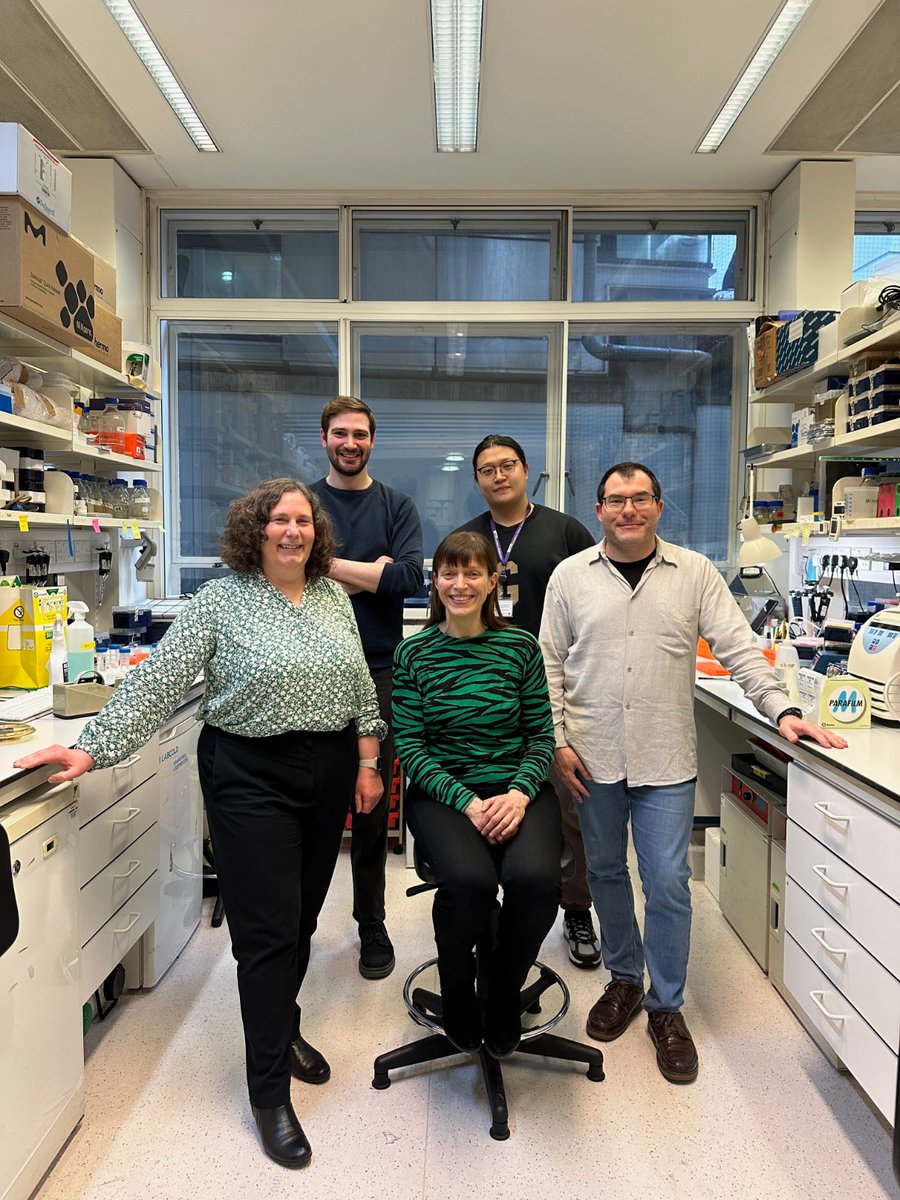 NclDatabase's tweet image. The NCL database is pleased to be part of the Mole lab  @UCLchildhealth - a quick update of #CLN12 information on the website today -  #CLN5 update continuing