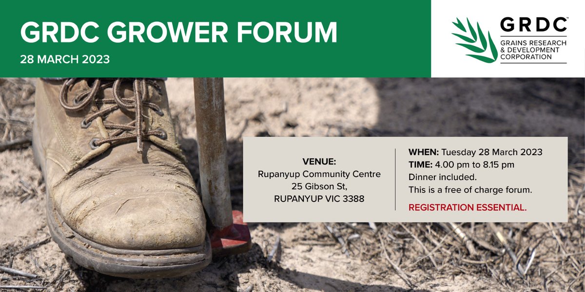 GRDCSouth's tweet photo. NEXT WEEK: RUPANYUP National Grower Network (NGN) Grower Forum: share ideas & raise issues to help GRDC invest in locally relevant RD&E
🥾28 Mar, 4-8.15pm, Rupanyup Community Centre, 25 Gibson Rd🥾
REGISTER: https://t.co/XpALBEjm9R
#NGNForums @AgCommunicators https://t.co/CA0WBUZ8bF