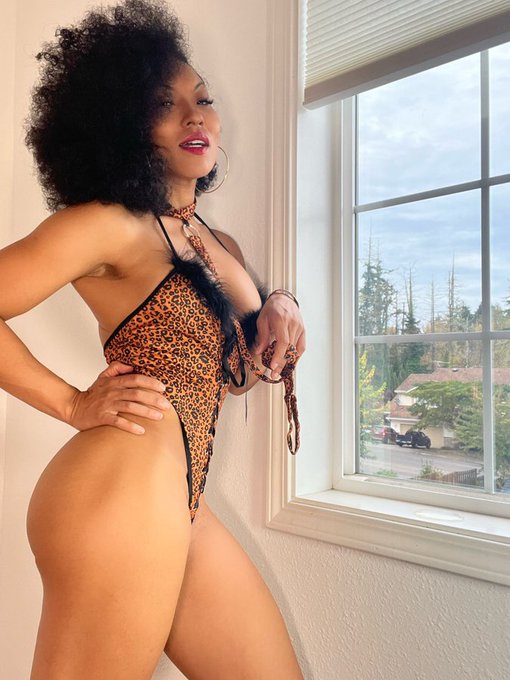 My USED panties are available in plenty from my store  https://t.co/gxmBfUSolm https://t.co/ZCojwgWS<a href="/tag/blasian"class="tags"><span>#blasian</span></a><a href="/tag/milf"class="tags"><span>#milf</span></a>