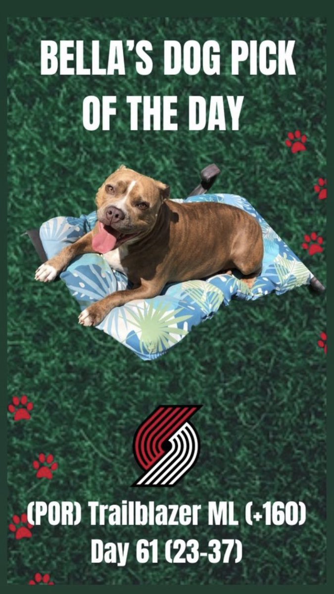 TheLocksOTD's tweet photo. 🐶BELLA'S DOG LOCK OTD🐶
‼️Overall Units +1225‼️
🔥SHE IS ON FIRE🔥
🏀NBA🏀
(POR)Trailblazers ML (+160)
#dog #dogs #dogpick #dogbet #freepicks #freebet #gamblingtwitter #nba #nbapicks #nbabet #trailblazers #portland #betting #sportsbetting #sports #doggy #basketball #bets https://t.co/ldgMxlx3Zf