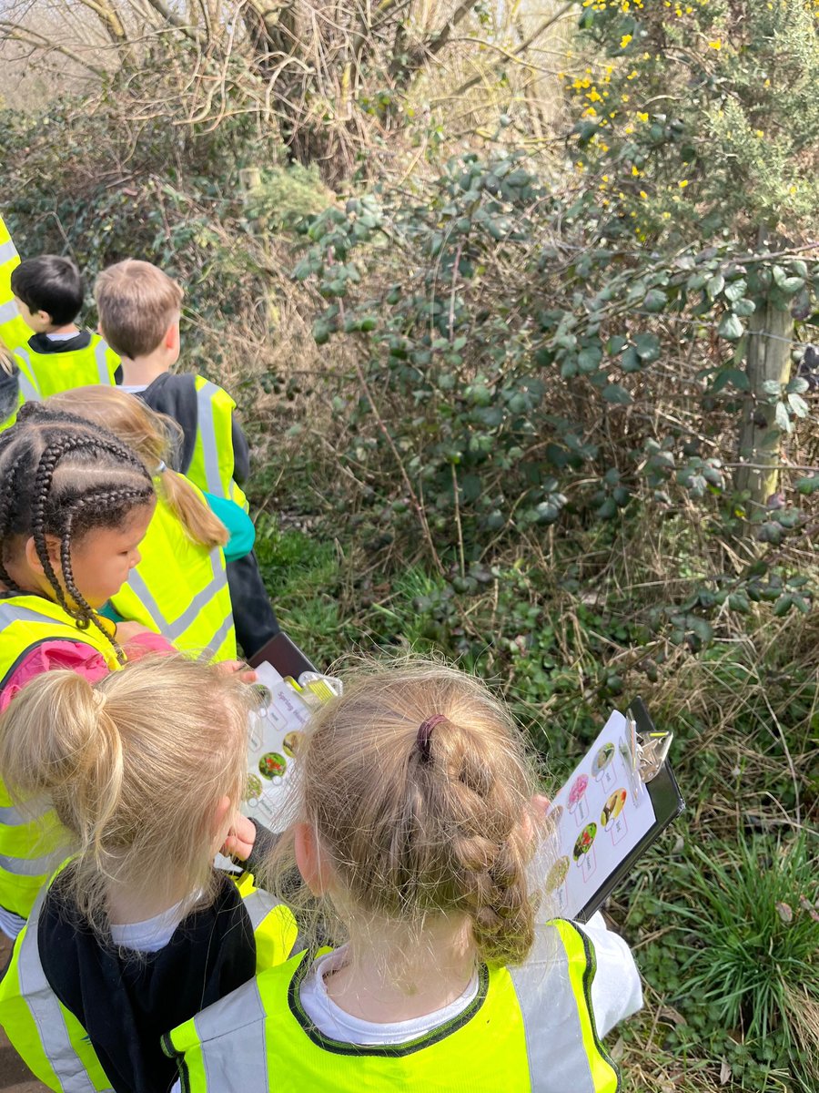 Lakeside_school's tweet photo. Listening and looking carefully - 1MC identifying signs of Spring, enjoying the sun and exploring our locality. #localvisit #SpringIsComing https://t.co/GDFXVxqPKk