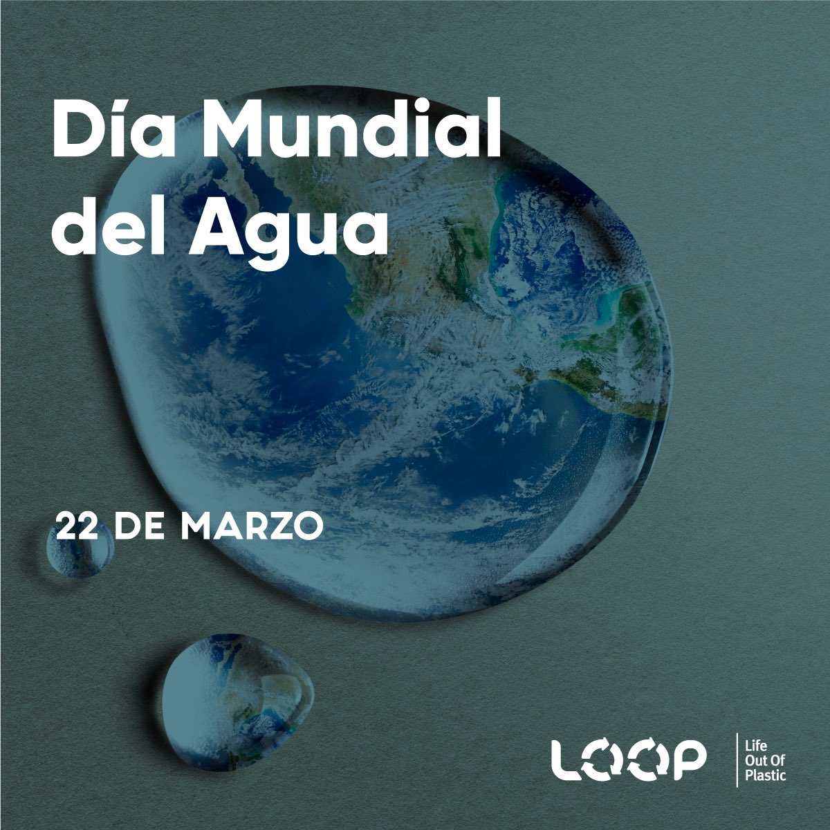 Hoy conmemoramos el #DíaMundialDelAgua el cual tiene como objetivo generar conciencia sobre la importancia de cuidar este elemento en todo el planeta 🌎 ya que es vital para la supervivencia de las especies vivas 🙋🏽‍♀️🙋🏽‍♂️🐕🐈🐼🐊🐥🐝🐢🐳🦧🦒🐘