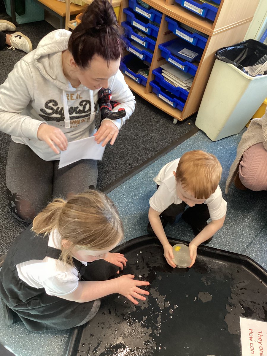 RyderDsm's tweet photo. A big thank you to our family members who joined us for stay and play today. We loved showing you what our learning looks like and we're looking forward to your next visit! 💚#EYFS #stayandplay #learninglabs #sharinglearning #parentsaspartners #mathslab #scienceinvestigation https://t.co/ENxmMOZz8y