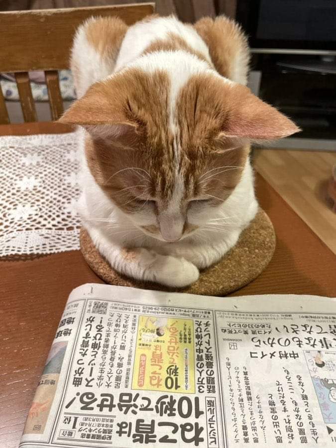 JSk8WraHA6UvBRF's tweet photo. おはようございます🤗
猫背は治る🤣 https://t.co/t0hpgieWUQ