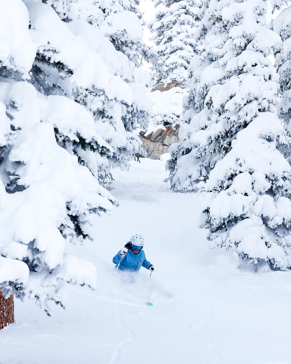 skicrestedbutte's tweet photo. As of today’s storm we have officially crossed over the 300” mark for the season!! This is the fifth time since we started recording totals in 1989 that we have received that much snow in a season. https://t.co/rS530kNy0T