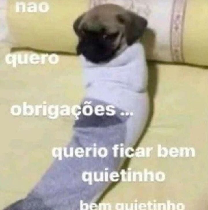 MEMES HORRIVELMENTE HORRÍVEIS (@memesrmp4) on Twitter photo 