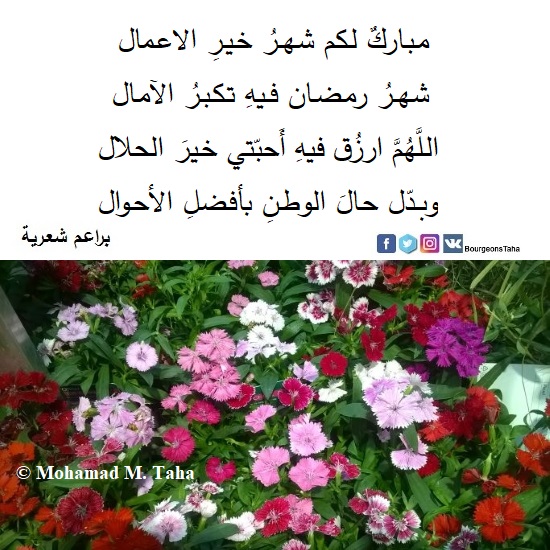 BourgeonsTaha's tweet photo. رمضان مبارك لكلّ الأحبّة
جعله الله شهر الخير عليكم جميعا https://t.co/0O0LODOpur