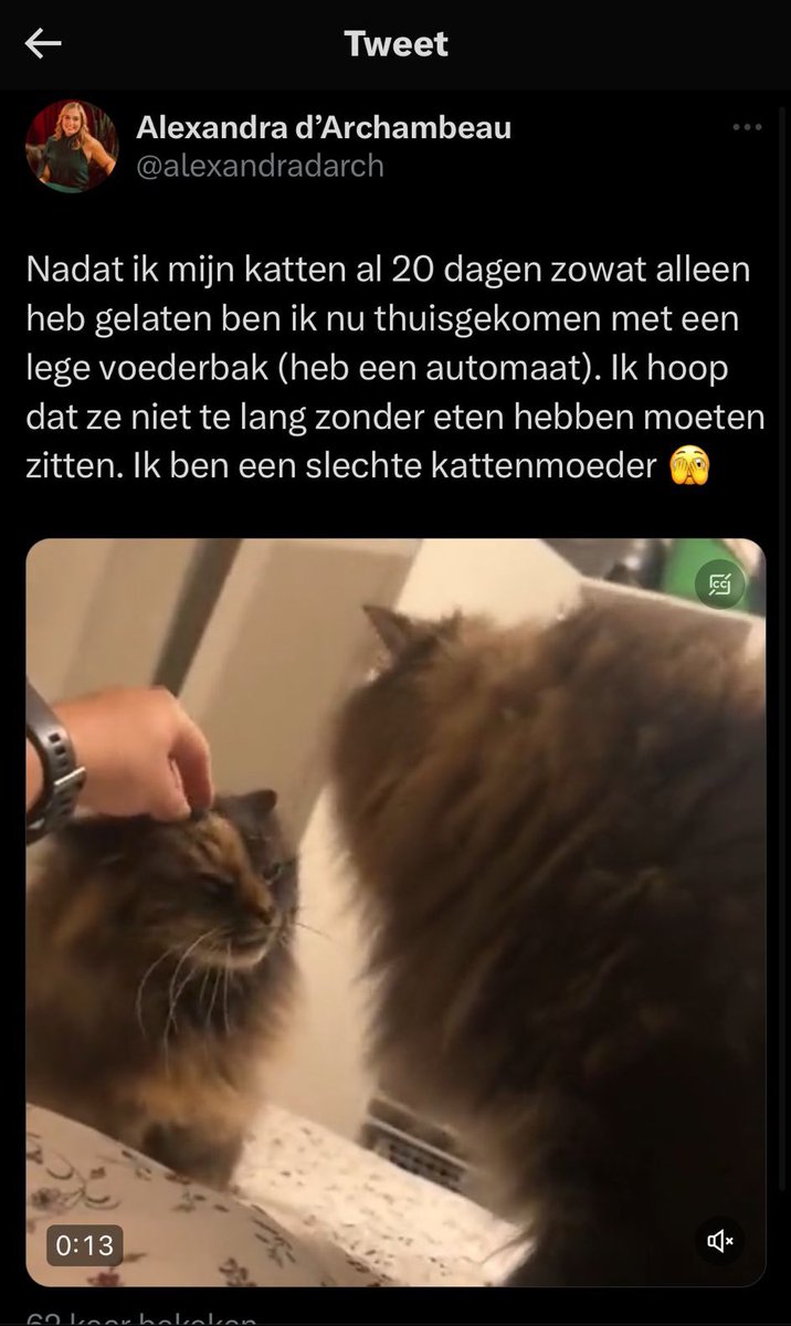 JurgenGeevels's tweet photo. Mijn bloed kookt. 🤮
Dierenmishandeling is sowieso al nooit grappig, laat staan dat je er op Twitter wat te koop mee gaat lopen? 😱

Je verdient geen huisdieren. 
Geef die katten aub aan iemand dat er wel liefde voor heeft.. https://t.co/lHEkfC2gJw