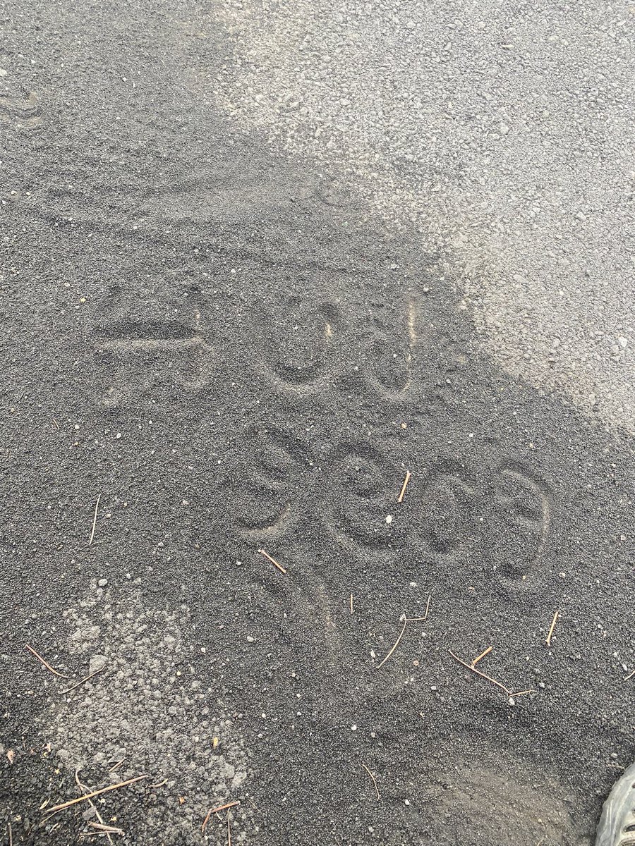 Chloe Kirkbright tweet media