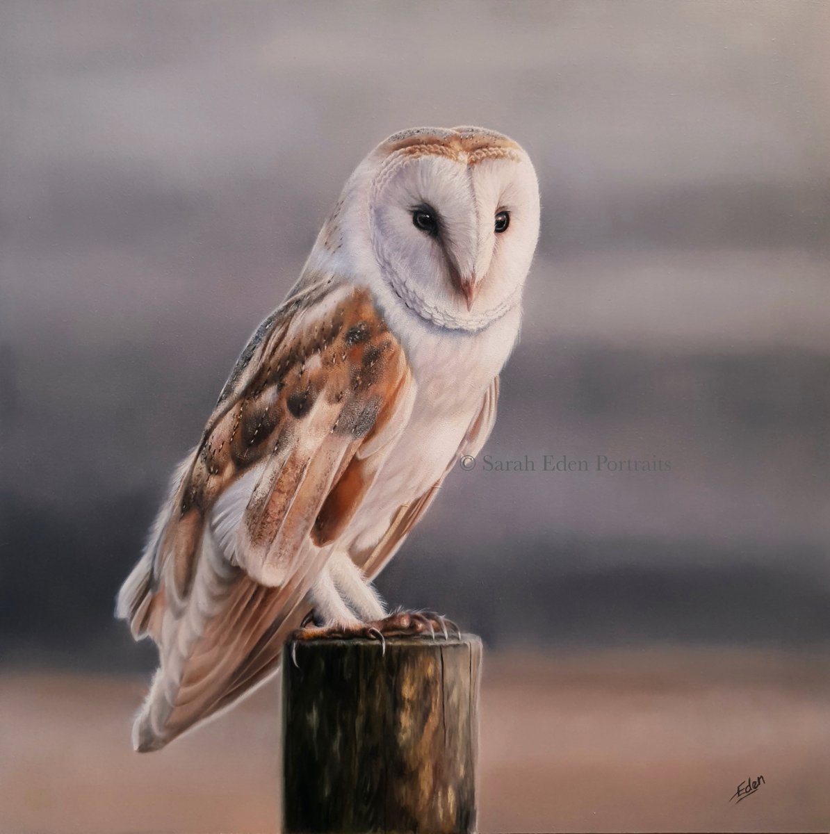 Well my Barn Owl is finished. Thank you so much to Steve Owen for the beautiful reference image. 
This painting will be available as soon as it's dry and varnished. 
#barnowl #barnowlpainting #owl #owls #owlsofinstagram #oilpainting #birdlife #ukbirds #wildlife #ukwildlife